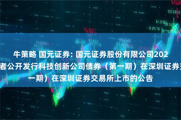 牛策略 国元证券: 国元证券股份有限公司2025年面向专业投资者公开发行科技创新公司债券（第一期）在深圳证券交易所上市的公告